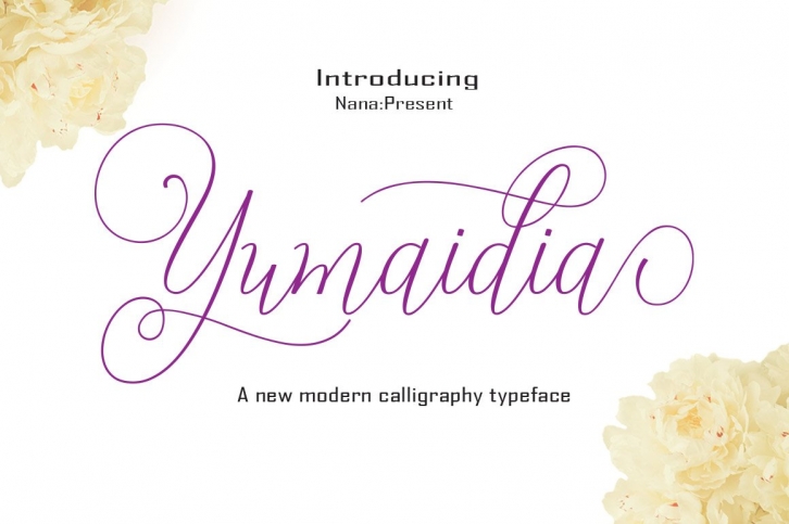 Yumaidia Font Download