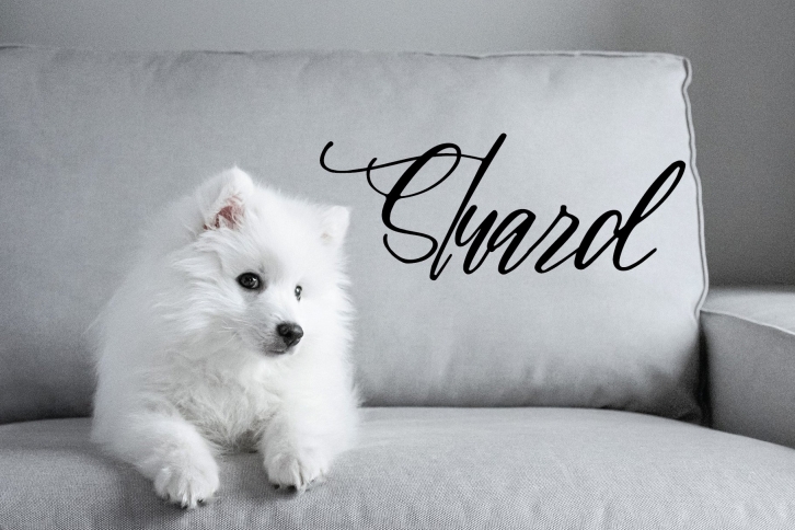 Stuard font Font Download