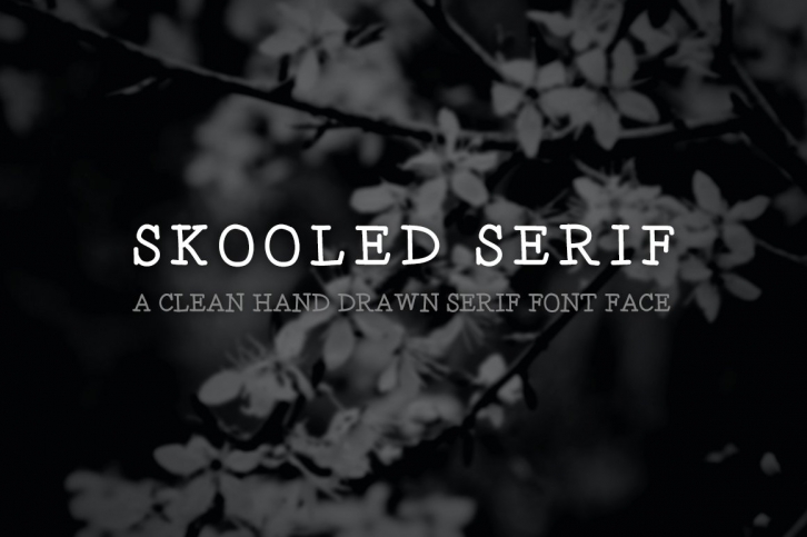 Skooled Serif – A Hand Drawn Web Fon Font Download