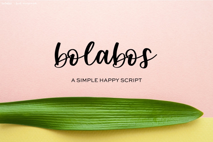 Bolabos Script Font Download