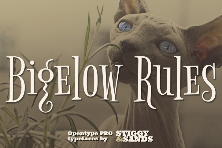 Bigelow Rules Pro Font Download
