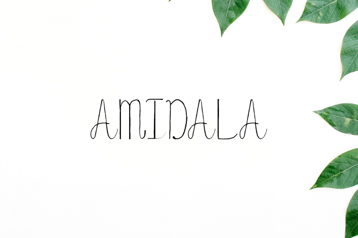 Amidala Script Font Download