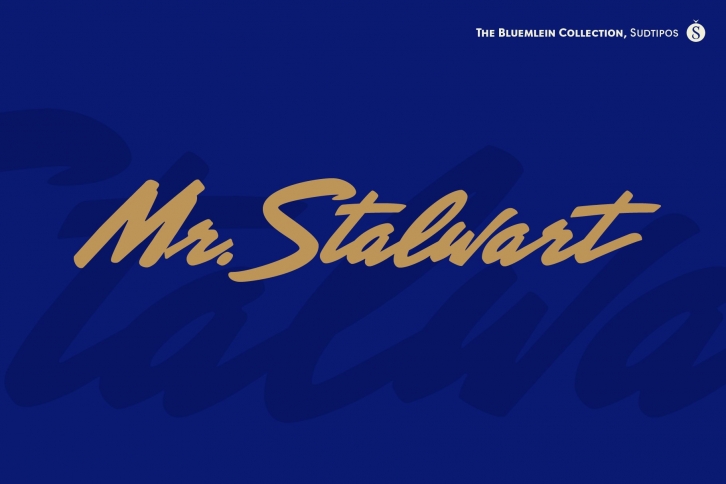 Mr Stalwart Pro Font Download