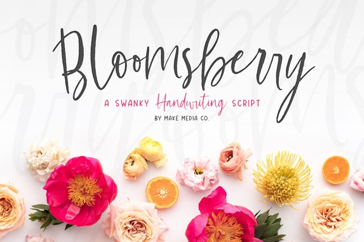 Bloomsberry Type  Graphics Font Download