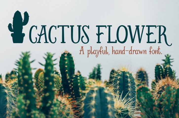 Cactus Flower Font Download