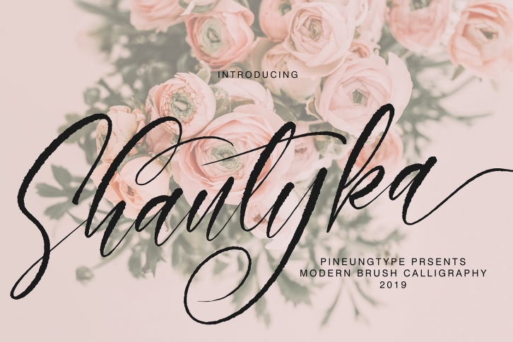 Shantyka Font Download