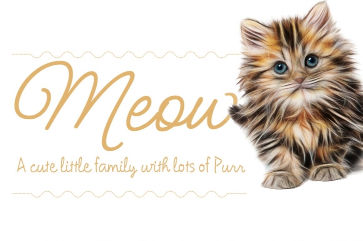 Meow ROB Script Family Font Download