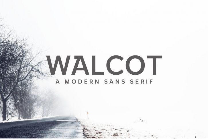 Walcot Modern Sans Serif Font Download