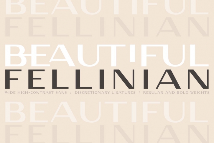 Fellinian / Wide High-Contrast Sans Font Download