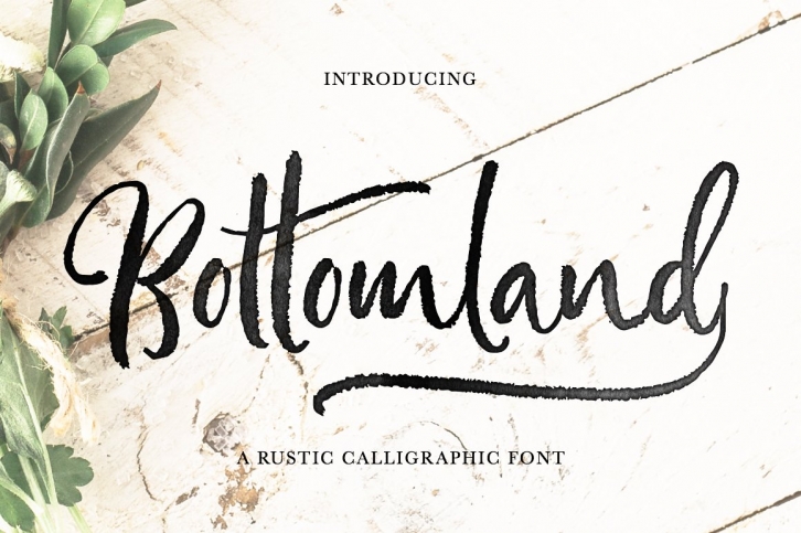 Bottomland â€¢ Ink Script Font Download