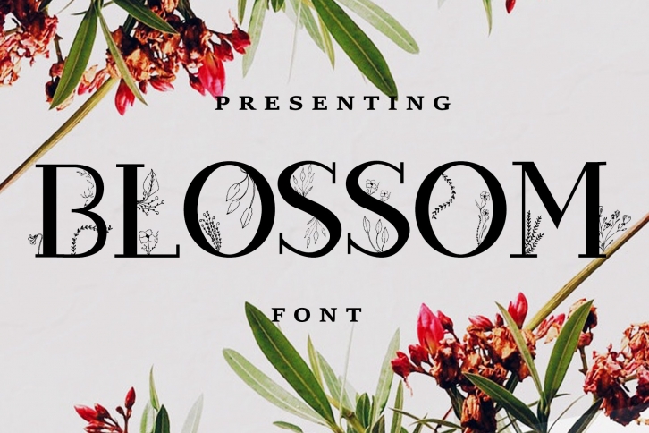 Blossom + EXTRAS Font Download