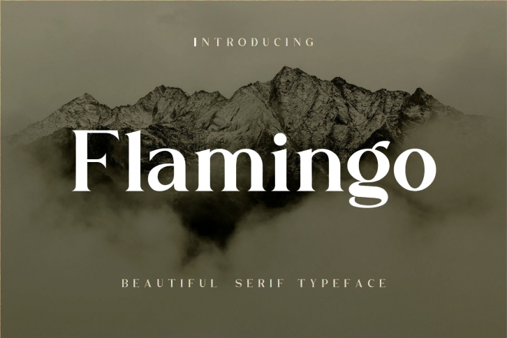 Flamingo Font Download