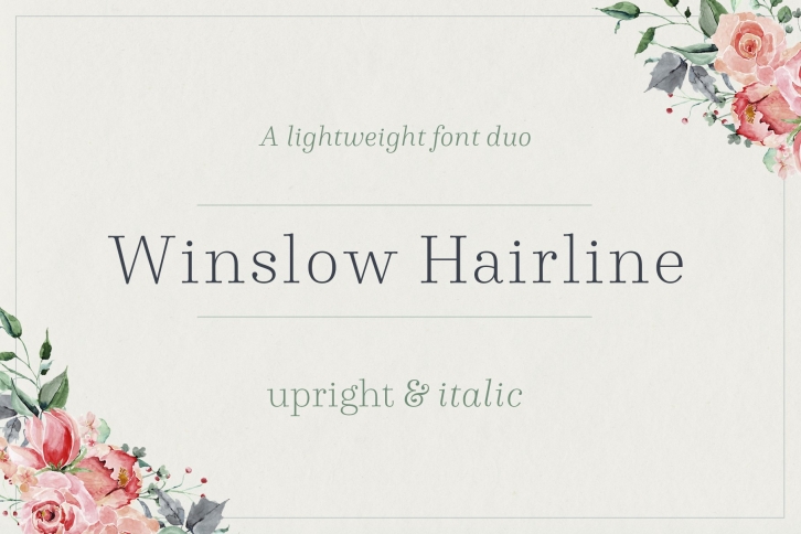 Winslow Book Hairline Font Download