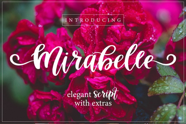 Mirabelle Script Font Download