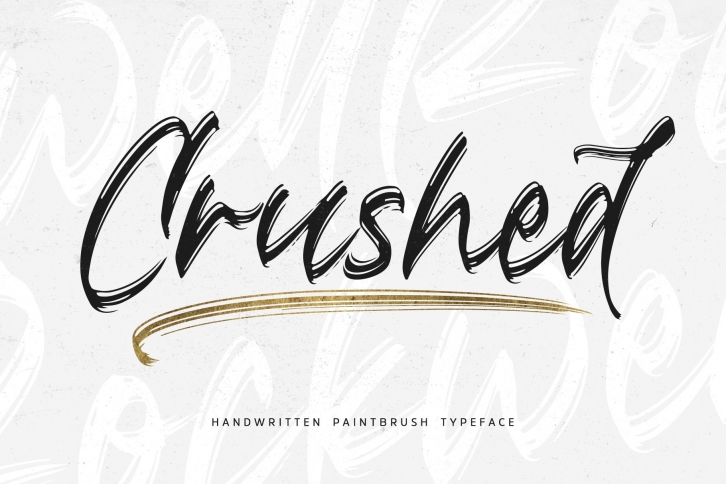 Crushed // Paintbrush Typeface Font Download