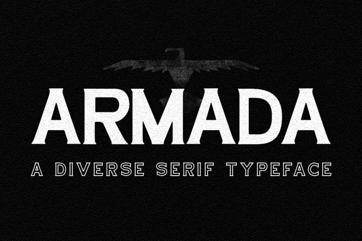 Armada / Serif Typeface Font Download