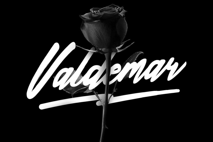 Valdemar Typeface + Swashes Font Download