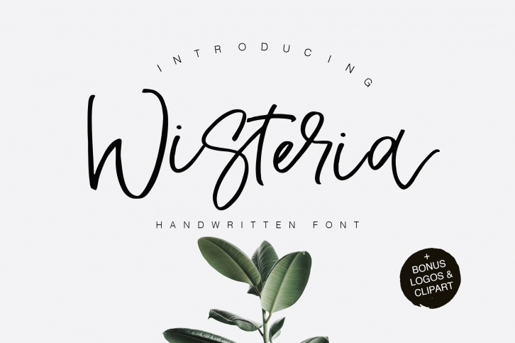Wisteria Script Font Download