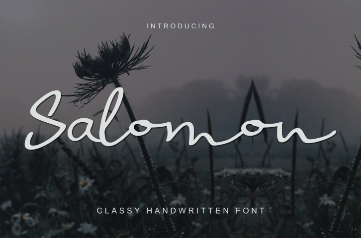 Salomon Sign Font Download