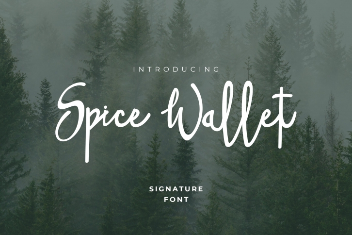 Spice Wallet Handwritten Font Download