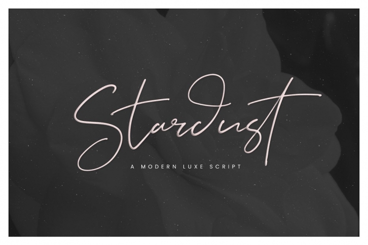 Stardust // A Modern Luxe Script Font Download