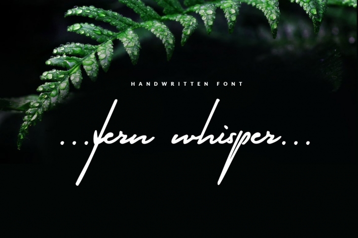 Fern Whisper Font Download