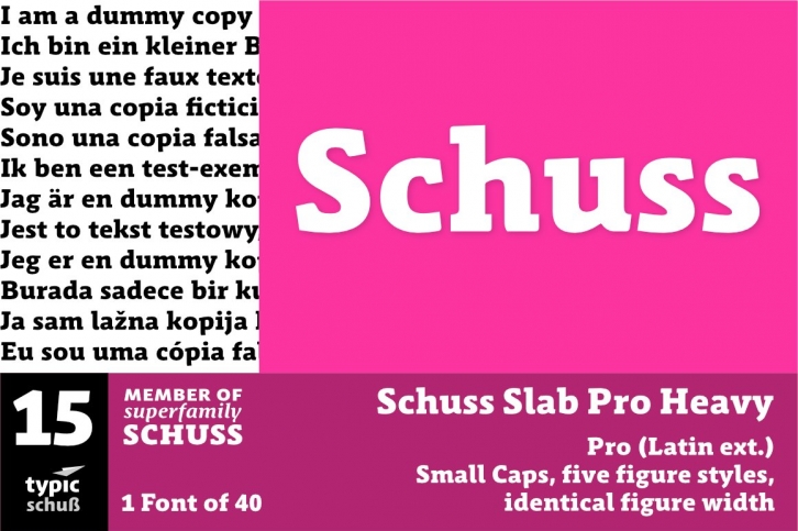 SchussSlabProHeavy No.15 (1) Font Download