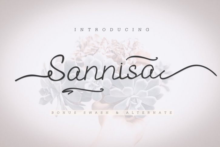 Sannisa Script + Swash (Update) Font Download