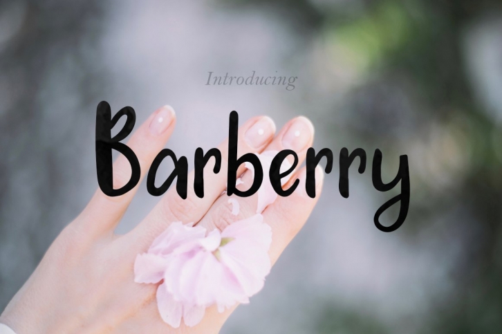 Barberry + Extras Font Download
