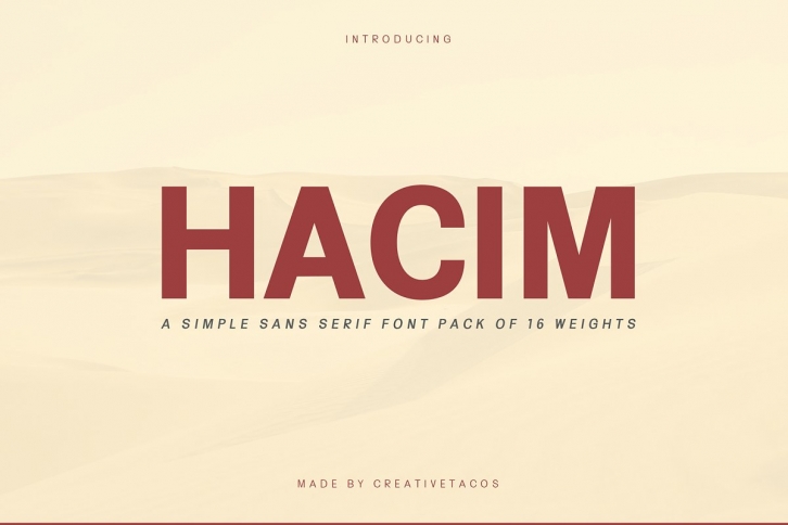 Hacim Simple Sans Serif Family Font Download