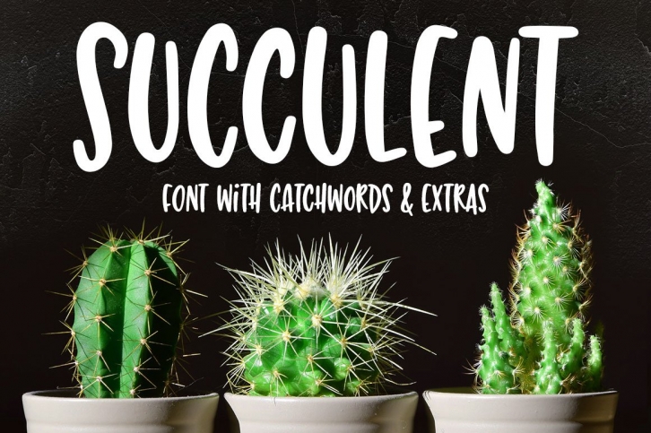 Succulent: a hand-lettered font Font Download