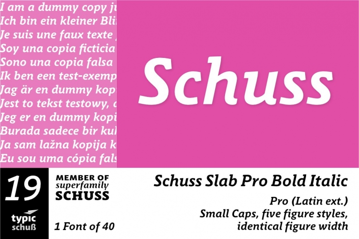 SchussSlabProBoldIta No.19 (1) Font Download