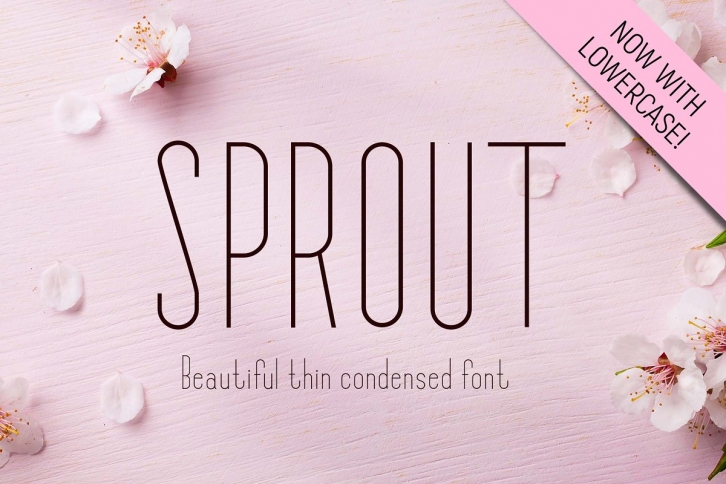 Sprout Font Download