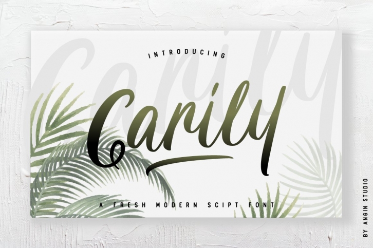 Carily ( fresh modern script ) Font Download