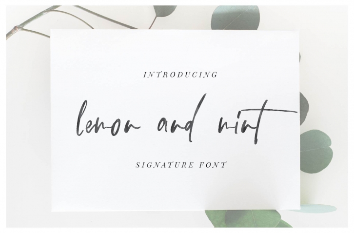 lemon and mint script Font Download