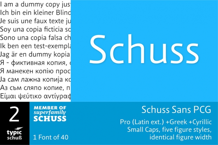 SchussSansPCG No.02 (1) Font Download