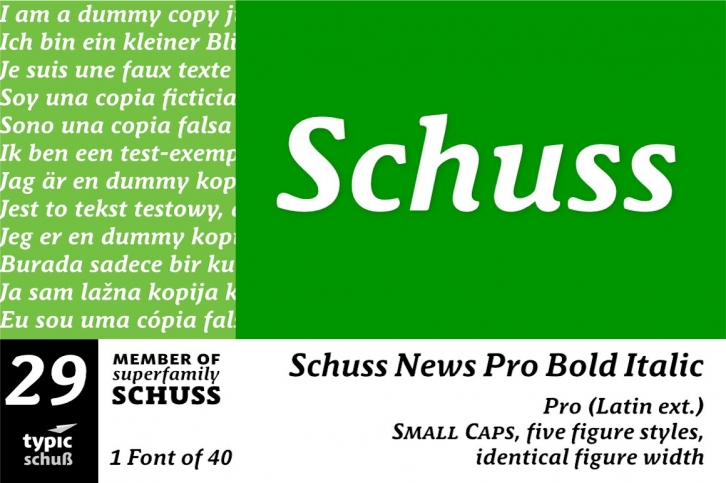 SchussNewsProBoldIta No.29 (1) Font Download