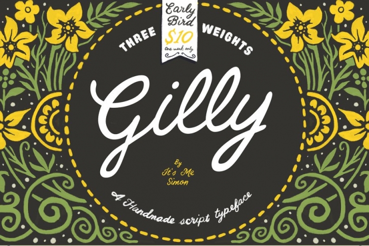 Gilly Script handmade typeface Font Download
