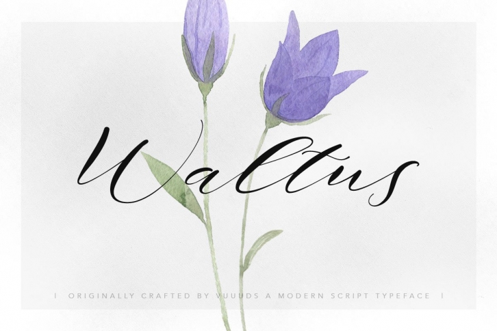 Waltus Font Download