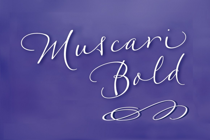 Muscari Bold Font Download