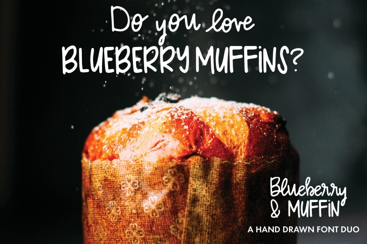 Blueberry Muffin hand drawn font duo Font Download