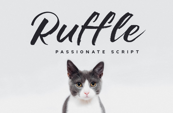 Ruffle Font Download