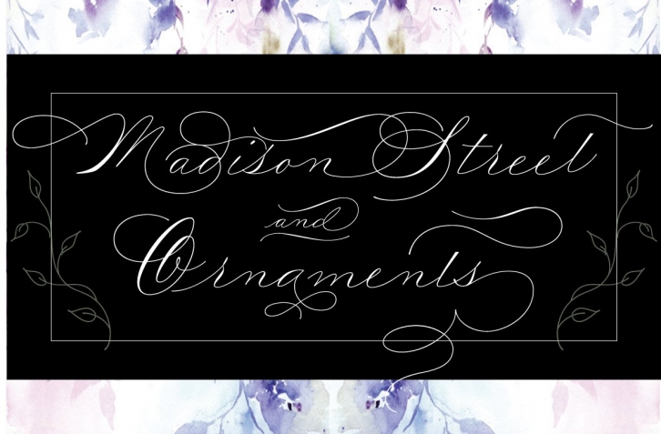 Madison Street Pro + Ornaments Font Download
