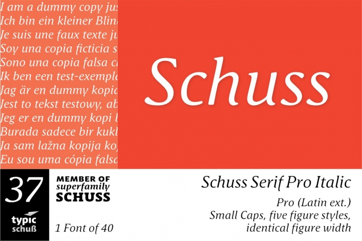 SchussSerifProIta No.37 (1) Font Download