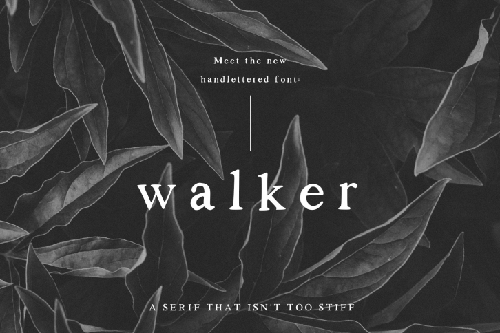 Walker: a Handlettered Serif Font Download