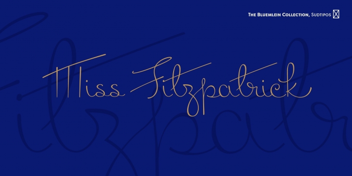 Miss Fitzpatrick Pro Font Download