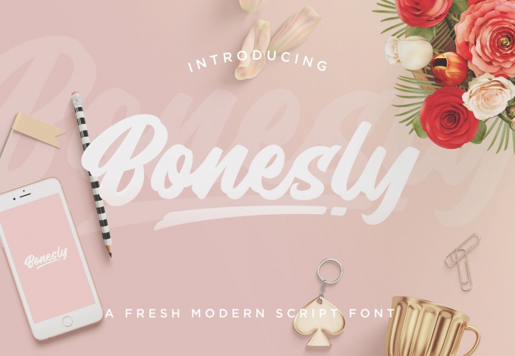 Bonesly Modern Script Font Download