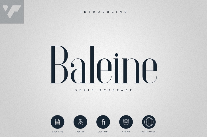 Baleine Font Download