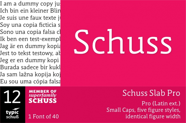 SchussSlabPro No.12 (1) Font Download