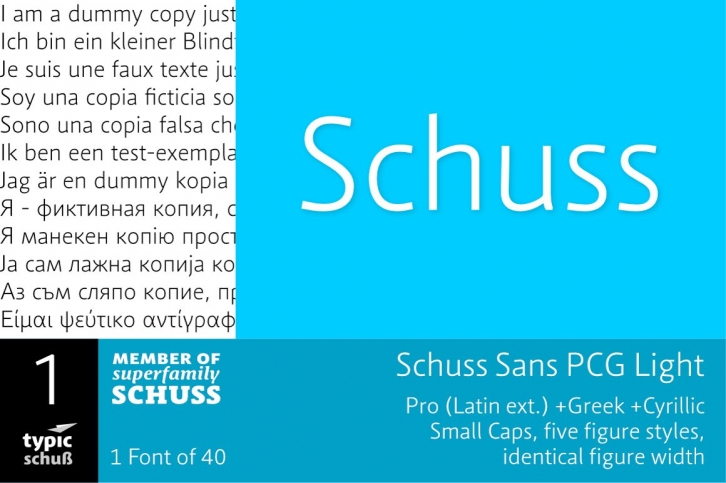 SchussSansPCGLight No.01 (1) Font Download